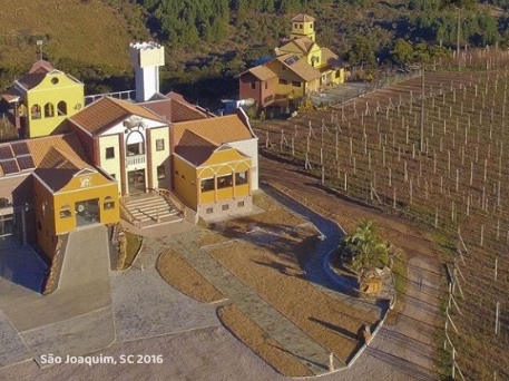 São Joaquim, SC 2016 - Leone di Venezia